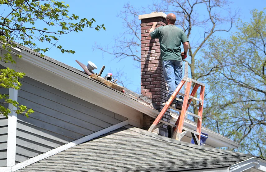 Chimney & Fireplace Inspections Services in Lealman, FL